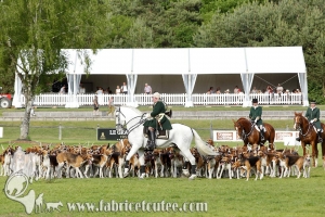 Fontainebleau 2017 0096