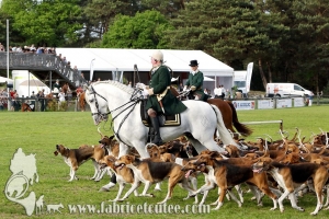 Fontainebleau 2017 0099