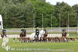 Fontainebleau 2017 0104