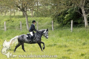 CCC Mamers 2017 0627