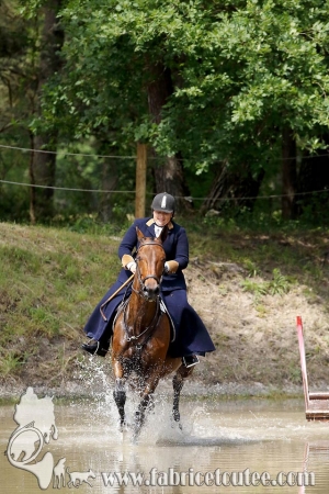 CFCC 2018 01233