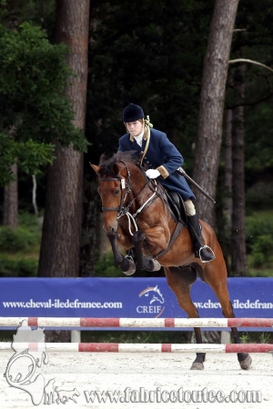 CFCC 2018 00403