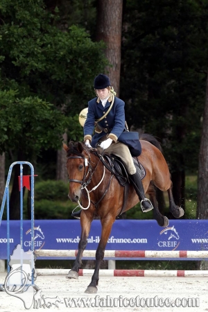 CFCC 2018 00404