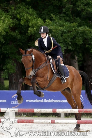 CFCC 2018 00445