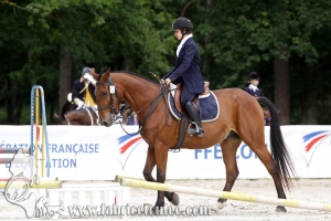CFCC 2018 00452