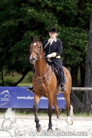 CFCC 2018 00495