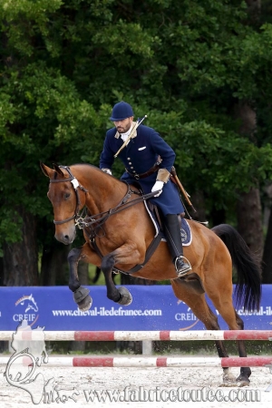 CFCC 2018 00509