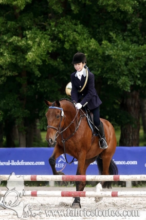 CFCC 2018 00520