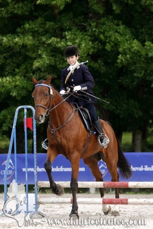 CFCC 2018 00522
