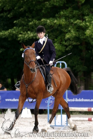 CFCC 2018 00523