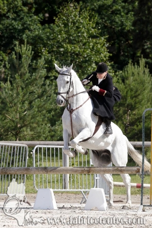 CFCC 2018 00557
