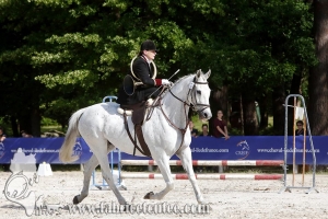 CFCC 2018 00561