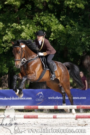 CFCC 2018 00564