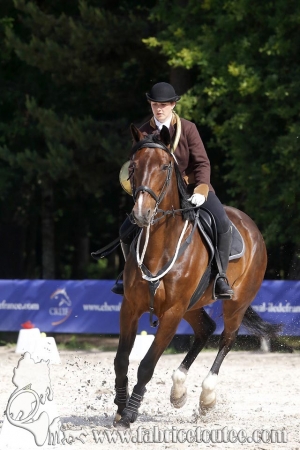 CFCC 2018 00567