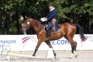 CFCC 2018 00593
