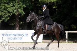 CFCC 2018 00622