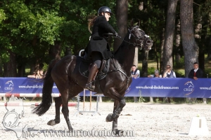 CFCC 2018 00628