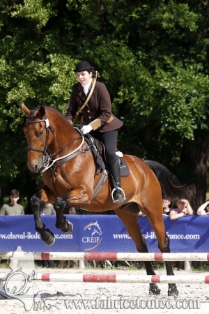 CFCC 2018 00630