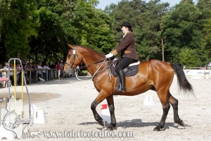 CFCC 2018 00632
