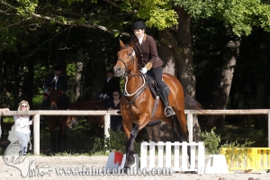 CFCC 2018 00635