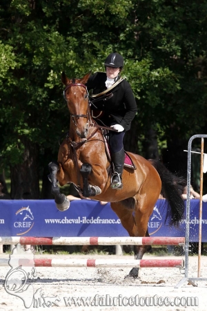 CFCC 2018 00643