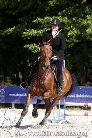 CFCC 2018 00644
