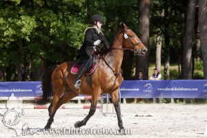 CFCC 2018 00655