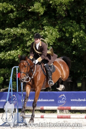 CFCC 2018 00660