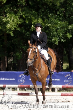 CFCC 2018 00675