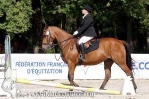 CFCC 2018 00682