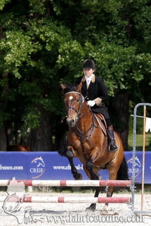 CFCC 2018 00689