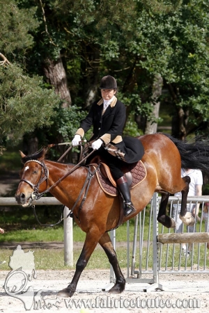 CFCC 2018 00699