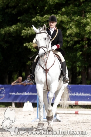 CFCC 2018 00706