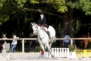 CFCC 2018 00710