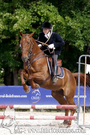 CFCC 2018 00725