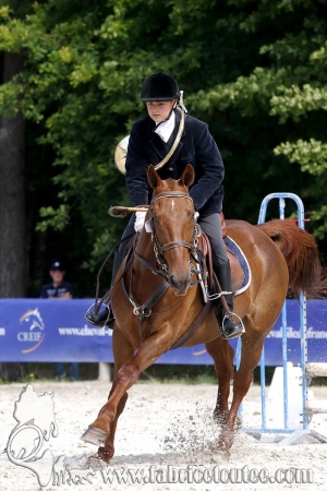 CFCC 2018 00727