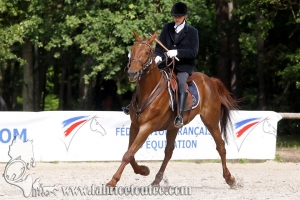 CFCC 2018 00733