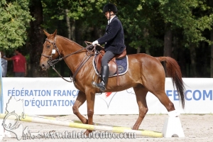 CFCC 2018 00734