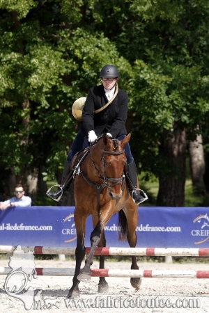 CFCC 2018 00740