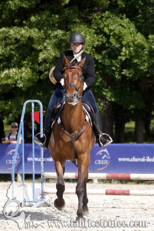 CFCC 2018 00742
