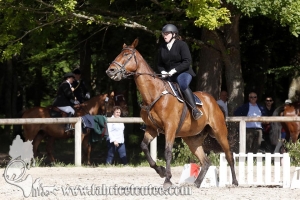 CFCC 2018 00745