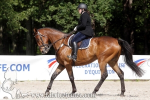 CFCC 2018 00747