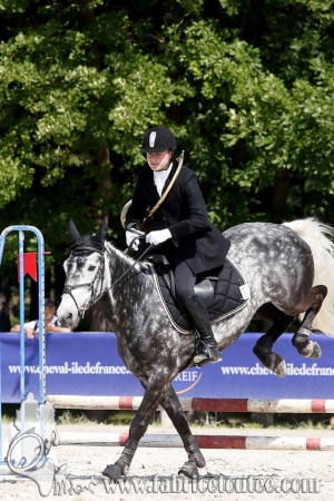 CFCC 2018 00834