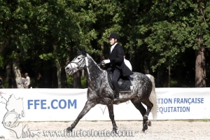 CFCC 2018 00839