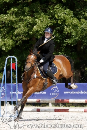 CFCC 2018 00864
