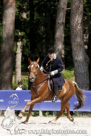 CFCC 2018 00881