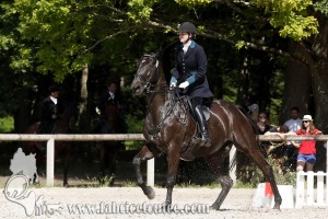 CFCC 2018 00905