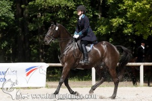 CFCC 2018 00906
