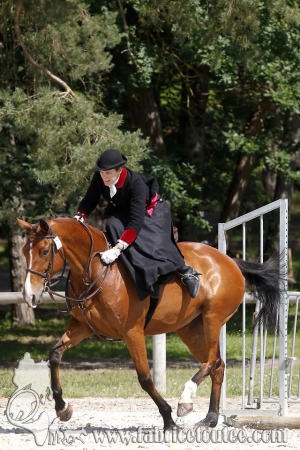 CFCC 2018 00951
