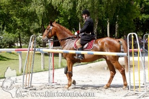 CFCC 2018 00976